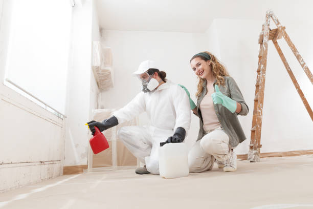 Penngrove, CA Mold Inspection, Removal & Remediation Company